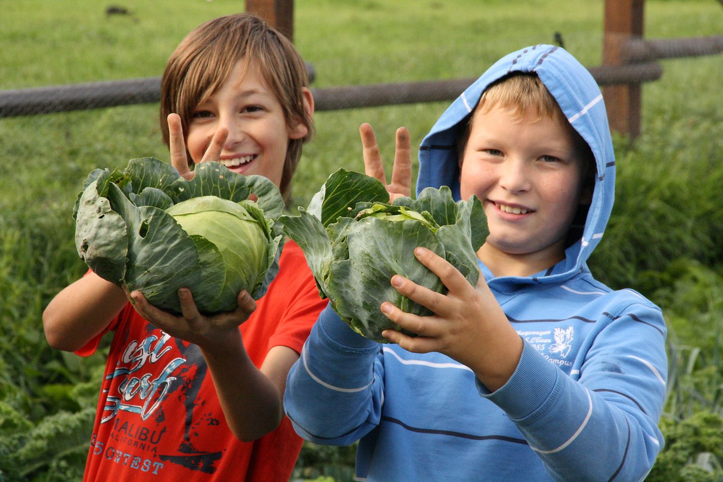 In der GemüseAckerdemie lernen Kinder alles rund um Lebensmittel, Natur und das soziale Miteinander.