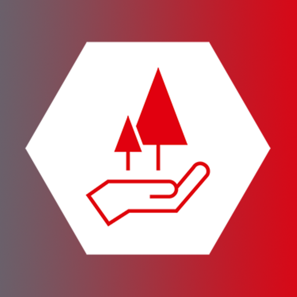 Icon showing trees above an hand