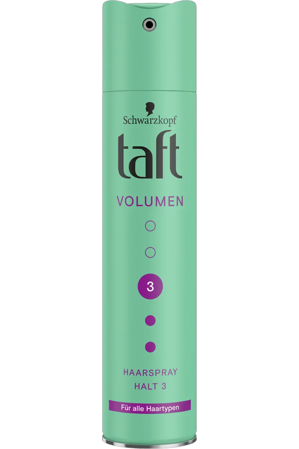 Taft Haarspray Volumen