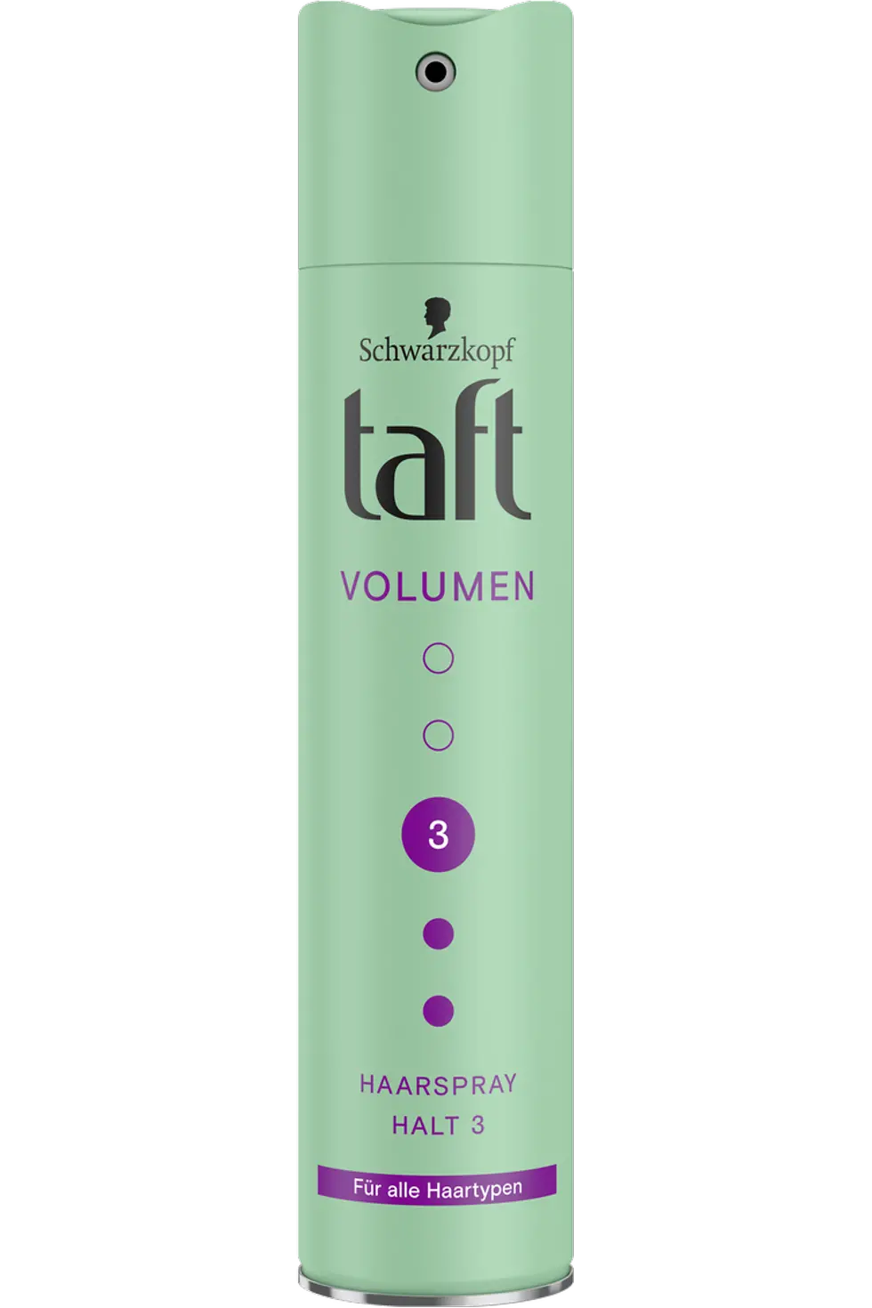 Taft Volumen Haarspray