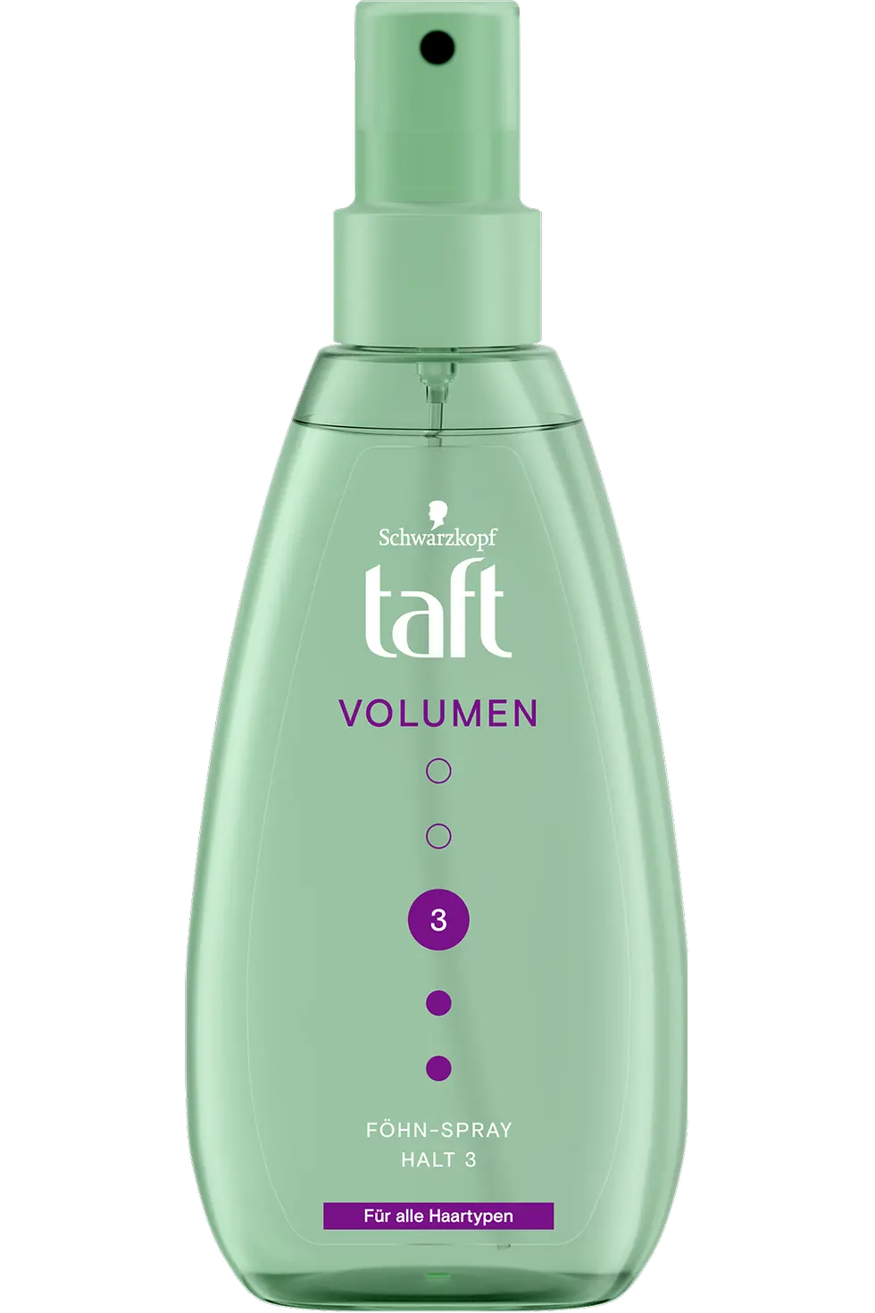 Taft Föhn-Spray