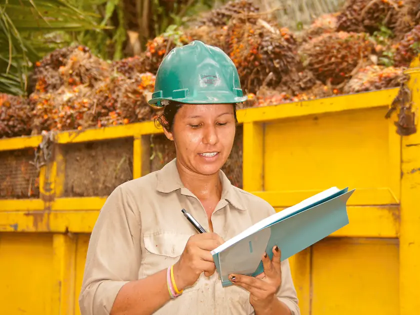 Creating traceability in the palm oil supply chain 
