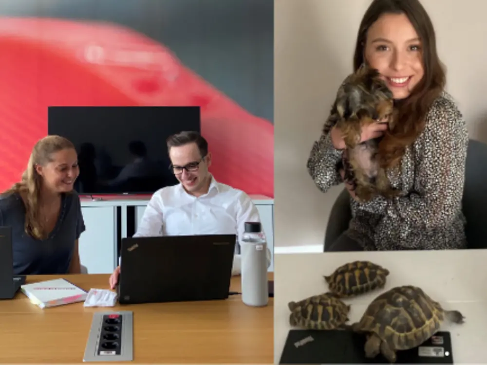 Zwei Henkel Mitarbeiter:innen sitzen vor ihren Laptops und lachen. Eine Henkel Mitarbeiterin hält eine Katze auf ihrem Arm und vor ihr auf dem Schreibtisch befinden sich drei Schildkröten.