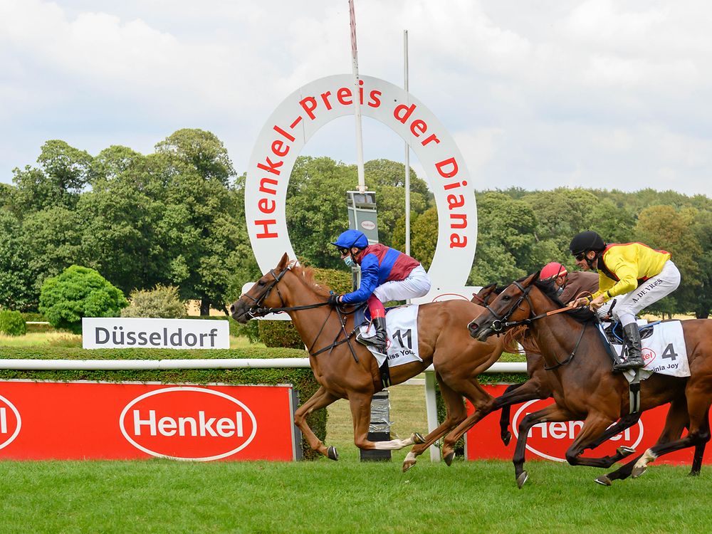 vor ort und digital hybridlosung fur henkel renntag und schwarzkopf hut contest