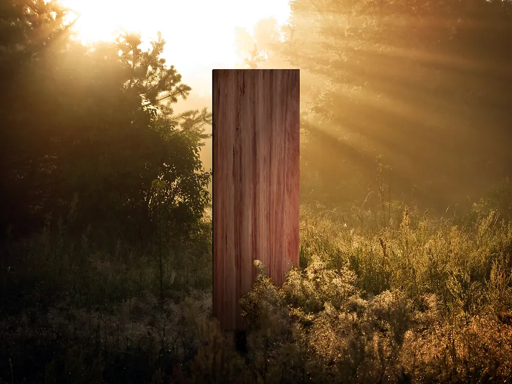Ein Holzbrett in einer Waldumgebung wird beleuchtet