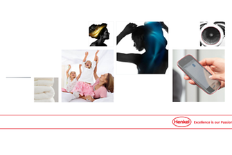 2013-05-08-Henkel-in-Figures-de-DE-pdf.pdfPreviewImage