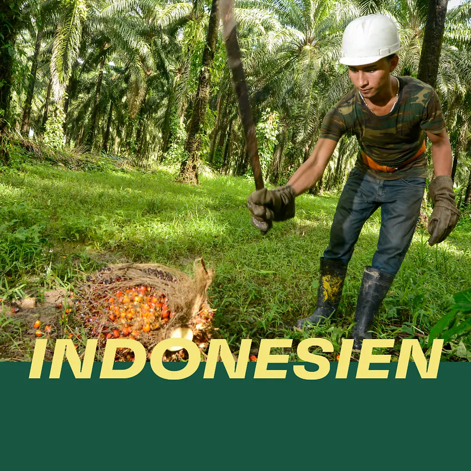 Indonesien