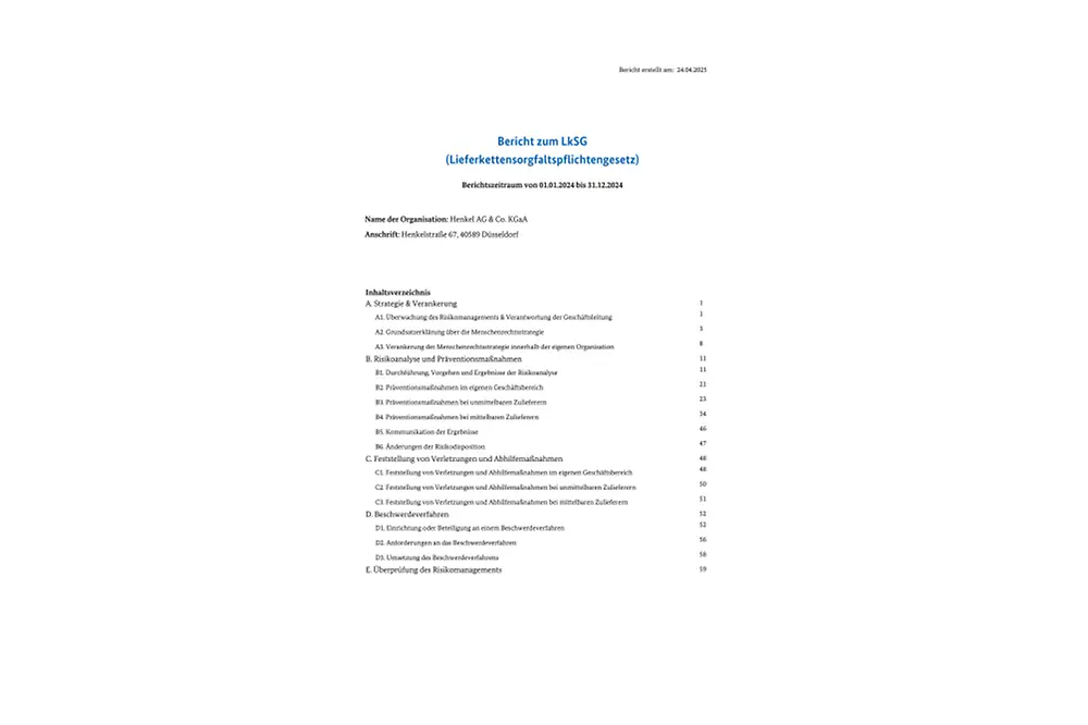 Jahresbericht 2024 – Lieferkettensorgfaltspflichtengesetz (1).pdfPreviewImage