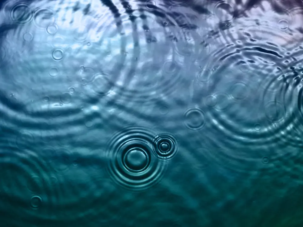 
Circular ripples spreading across the surface of calm water.