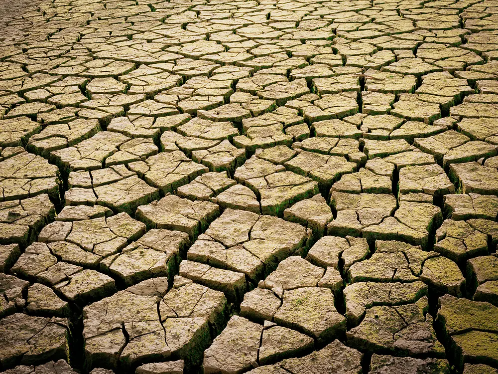 
Dry, cracked ground showing severe soil dehydration