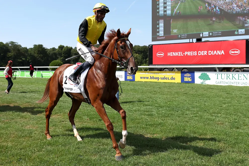 
Jockey Eduardo Pedroza mit Stute Soreanga.
Foto: Daniel Koke
