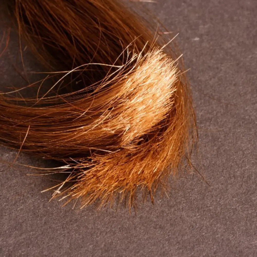 
Ein Problem bei längeren Haaren: Spliss