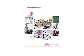 2013-sustainability-report-de-DE.pdfPreviewImage