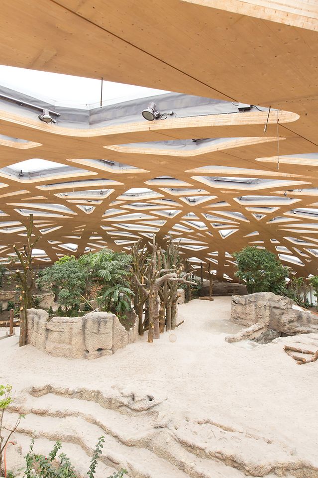 Die netzartige Freiform-Kuppel des Mitte 2014 eröffneten Elefantenhauses des Züricher Zoos in der Schweiz 