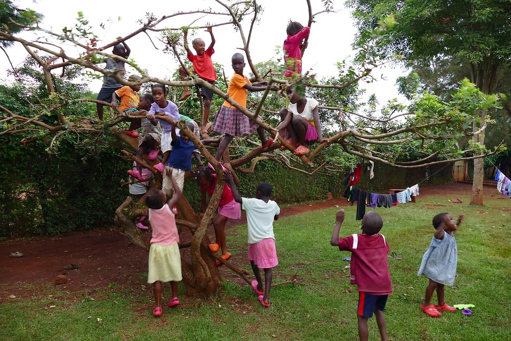 
Wie viele Kinder passen auf einen Baum? Für die Kinder von Sonrise sind Bäume ein spaßbringendes Spielgerät.