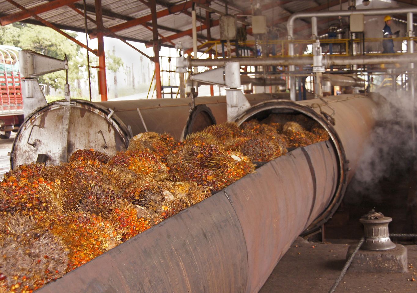 Verarbeitung Palmöl