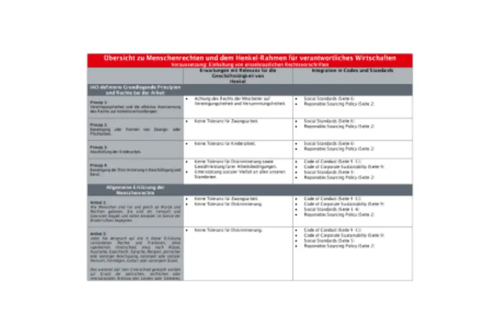 Human-Rights-and-Henkel-Framework_DE.PDF.pdfPreviewImage (1)