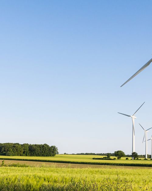 climate positive