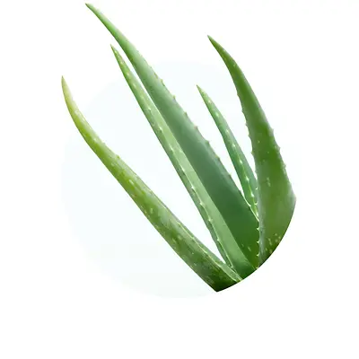 Rohstoffe